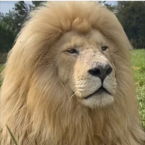 anmlluvr1